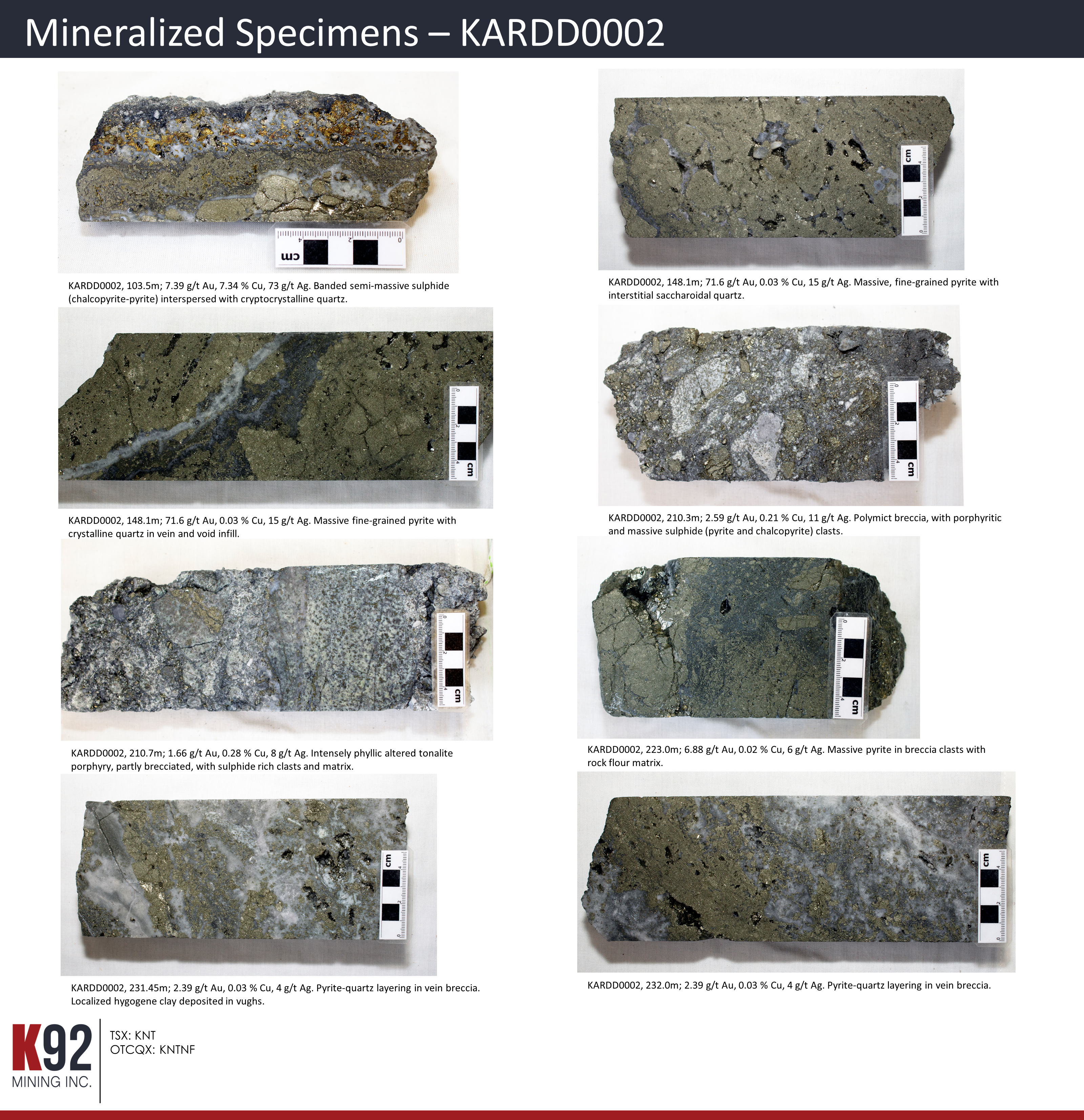 Figure 7 - Mineralized Specimens (KARDD0002)